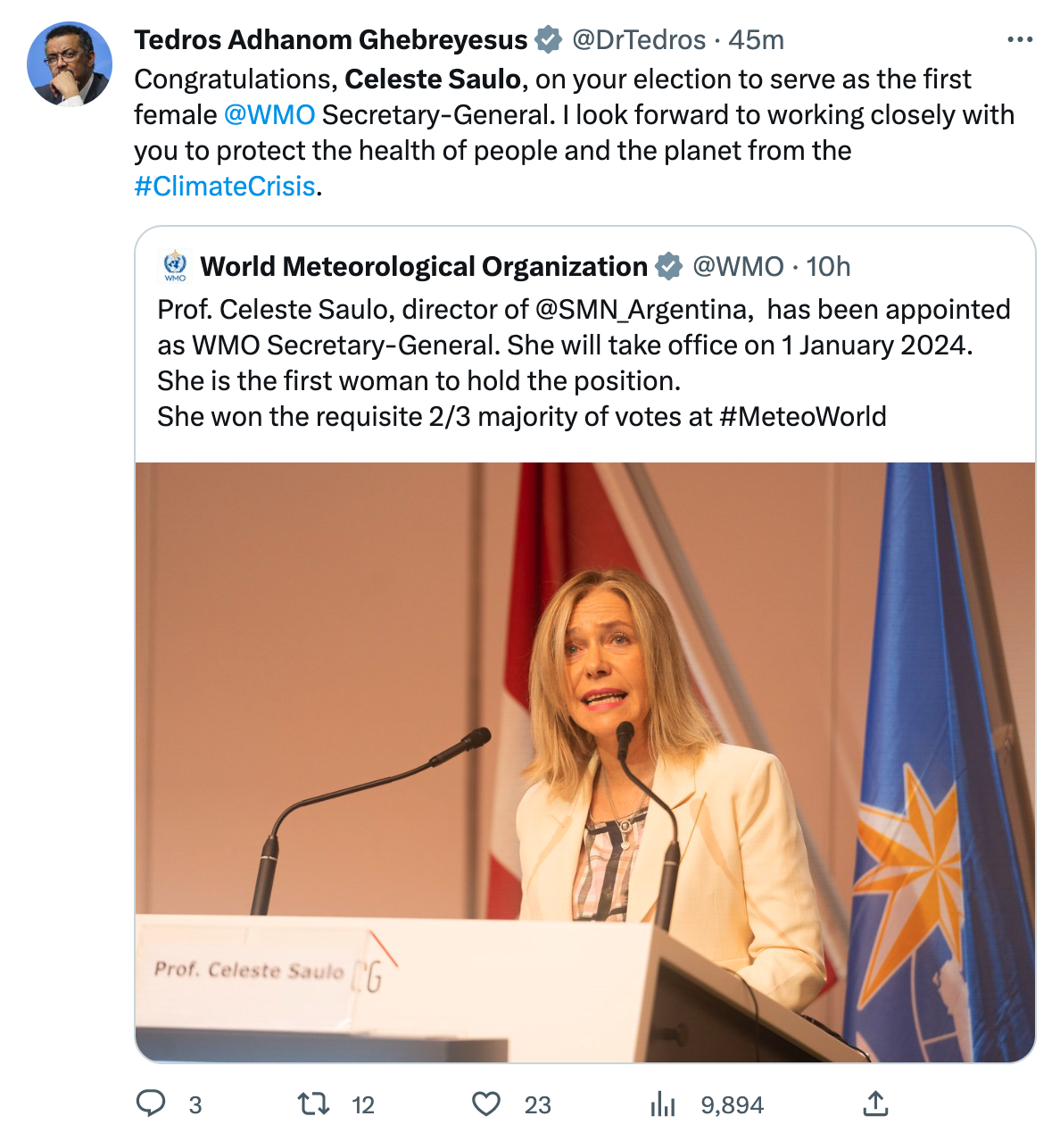 Argentinian meteorologist Celeste Saulo to lead U.N. weather agency