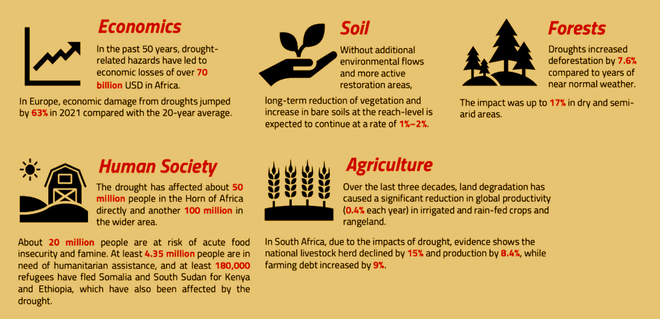 Drought data shows “unprecedented emergency" for 1.84 billion people
