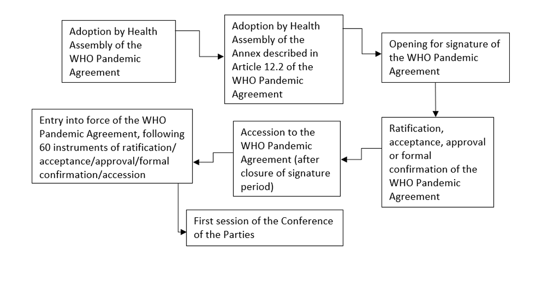Image from the World Health Assembly document, "WHO Pandemic Agreement: procedural matters," outlining the steps to be taken between the anticipated adoption and entry into force of the WHO Pandemic Agreement.