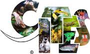 CITES