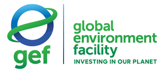 Global Environment Facility (GEF)