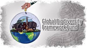 Global Biodiversity Framework Fund (GBFF)
