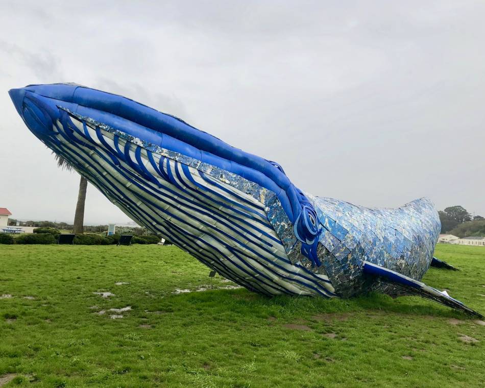 A life-size art installation in California depicting a blue whale draws attention to the threat of plastic pollution