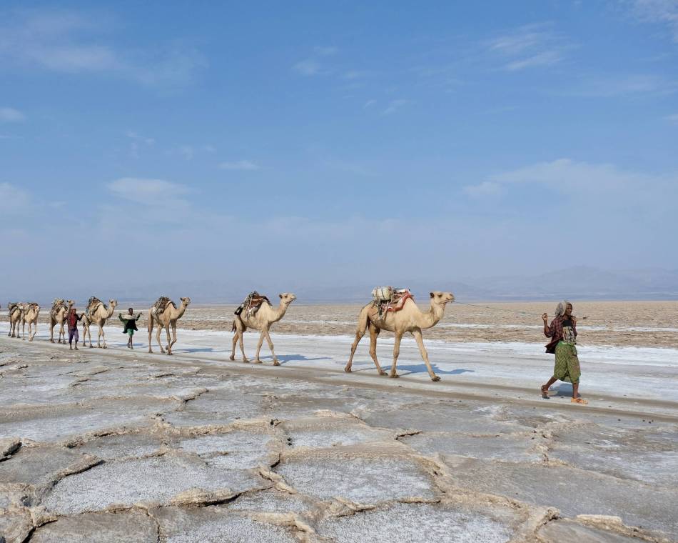 Salt miners lead a camel caravan in Ethiopia’s Danakil Depression