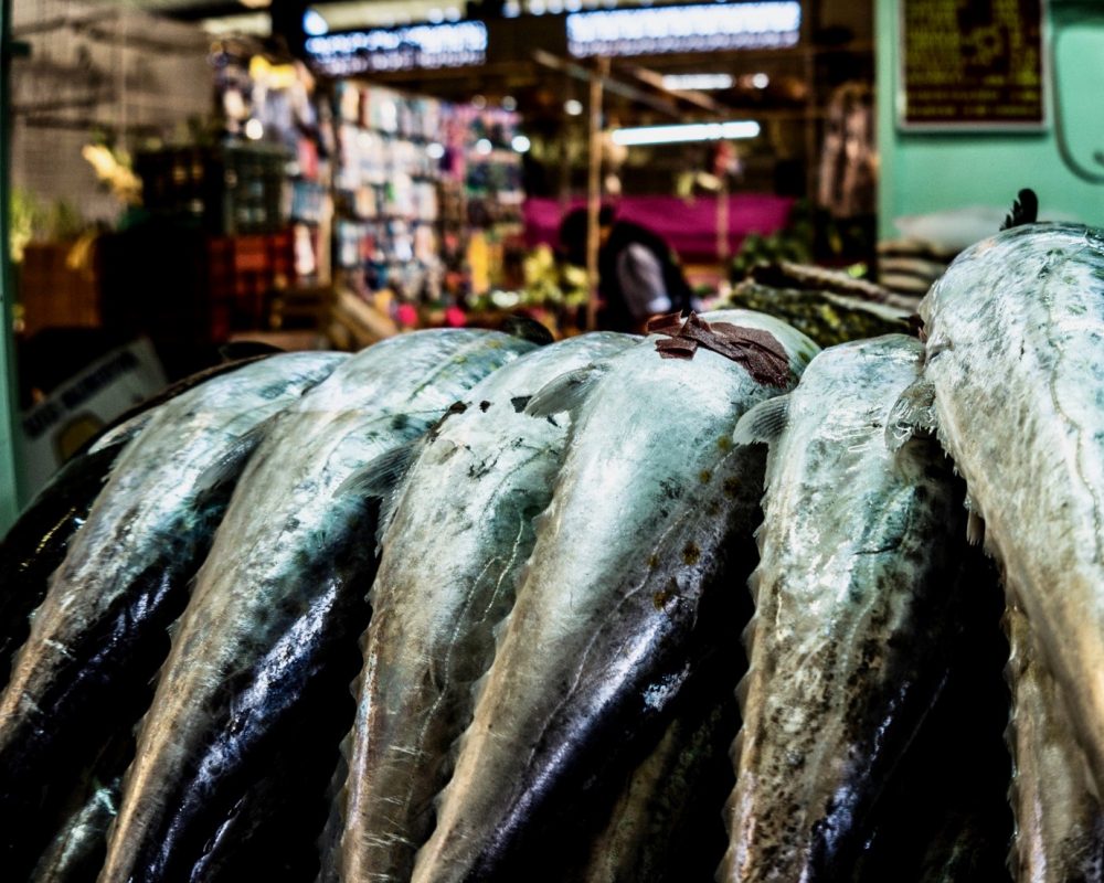 Fish for sale at a market in San Andrés Cholula, Mexico