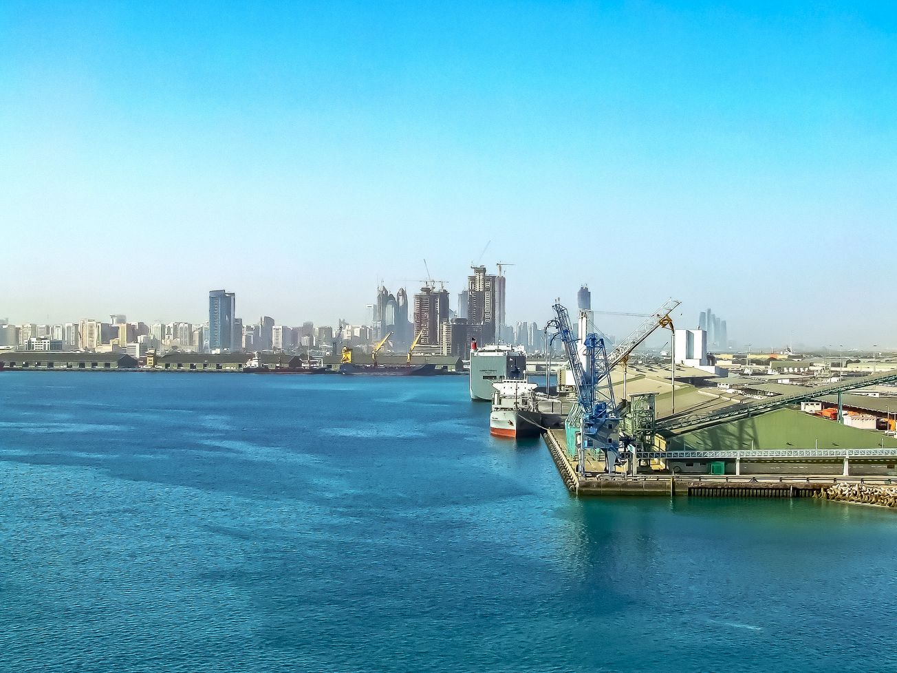 Το λιμάνι του Άμπου Ντάμπι είναι ένας περιφερειακός εμπορικός, εφοδιαστικός και βιομηχανικός κόμβος πετρελαίου, φυσικού αερίου και άλλων εμπορικών συμφερόντων