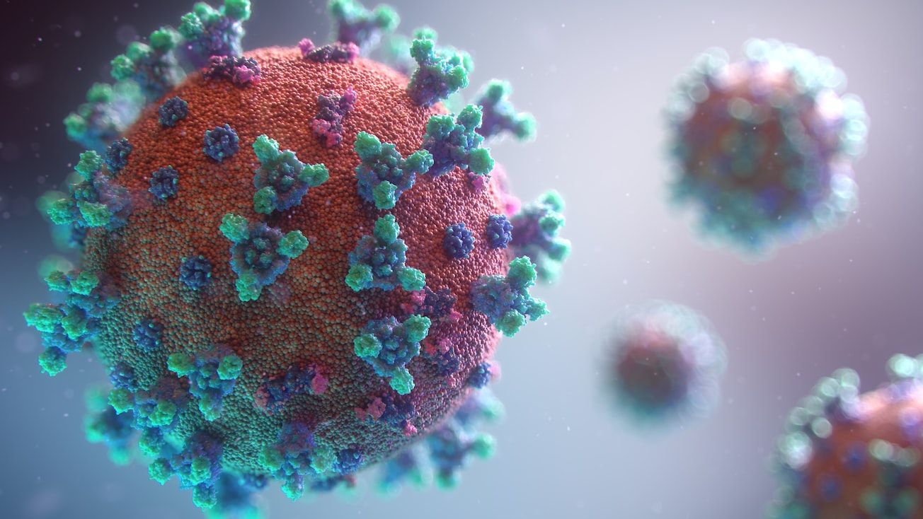 The World Health Organization issued its eagerly awaited "zero draft" proposal for a pandemic treaty