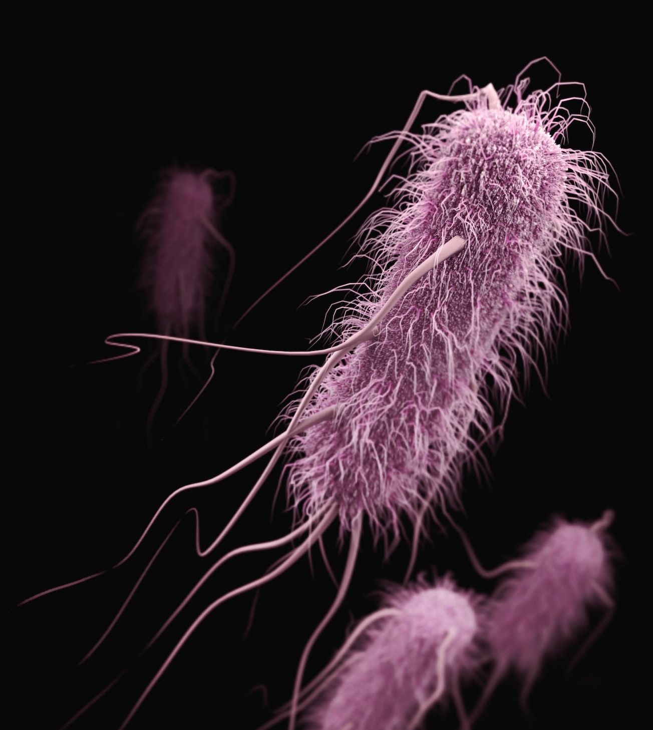 Antimicrobial resistant organisms are seen as a threat with more deadly potential than COVID-19