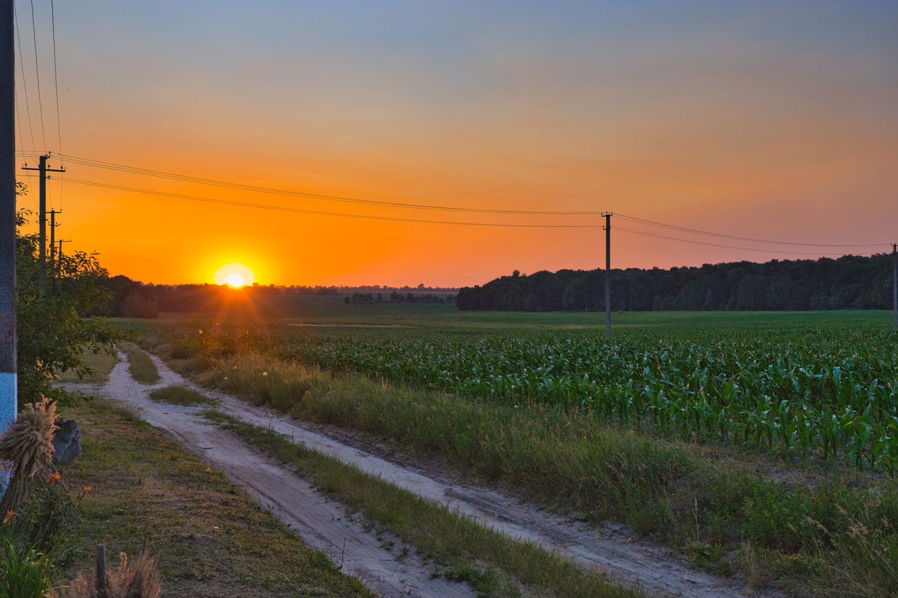 Corn accounts for half of all the Black Sea grain deal shipments so far.