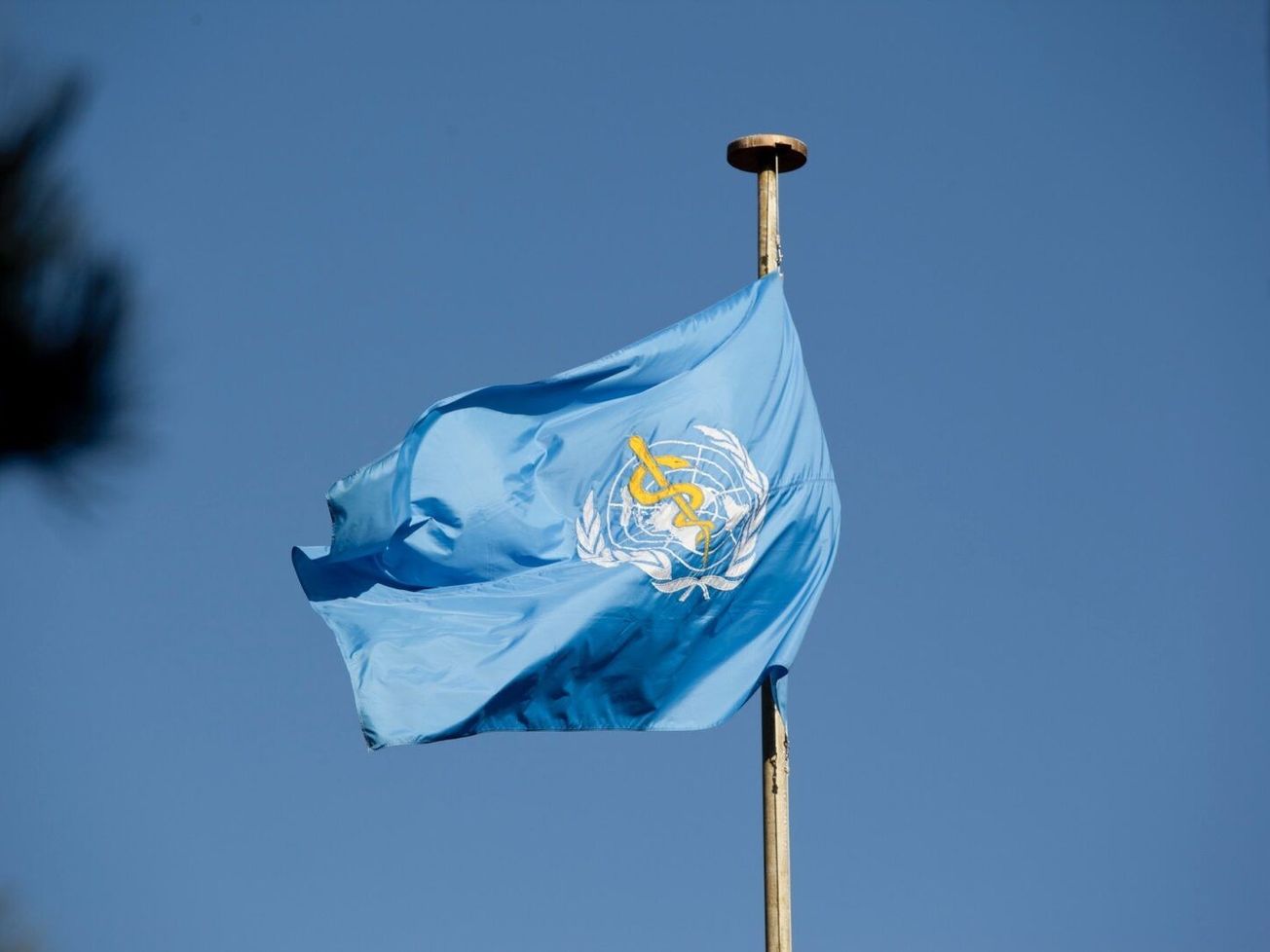 The World Health Organization's flag flying above its Geneva headquarters