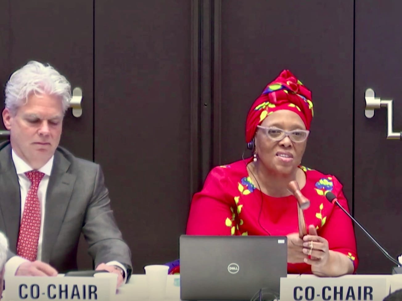Panel co-chairs Roland Driece, left, and Precious Matsoso, right, end the final session.