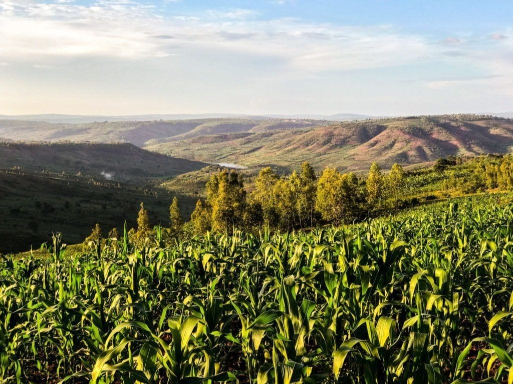 A project to build climate resilience in Rwanda's Akagera watershed with support from the Green Climate Fund
