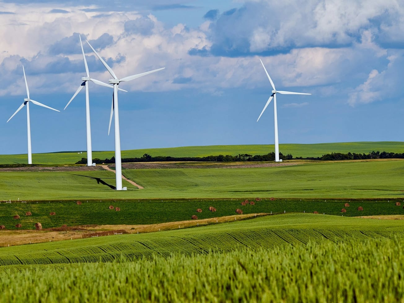 IEA forecasts global coal use will peak before solar, wind overtake it