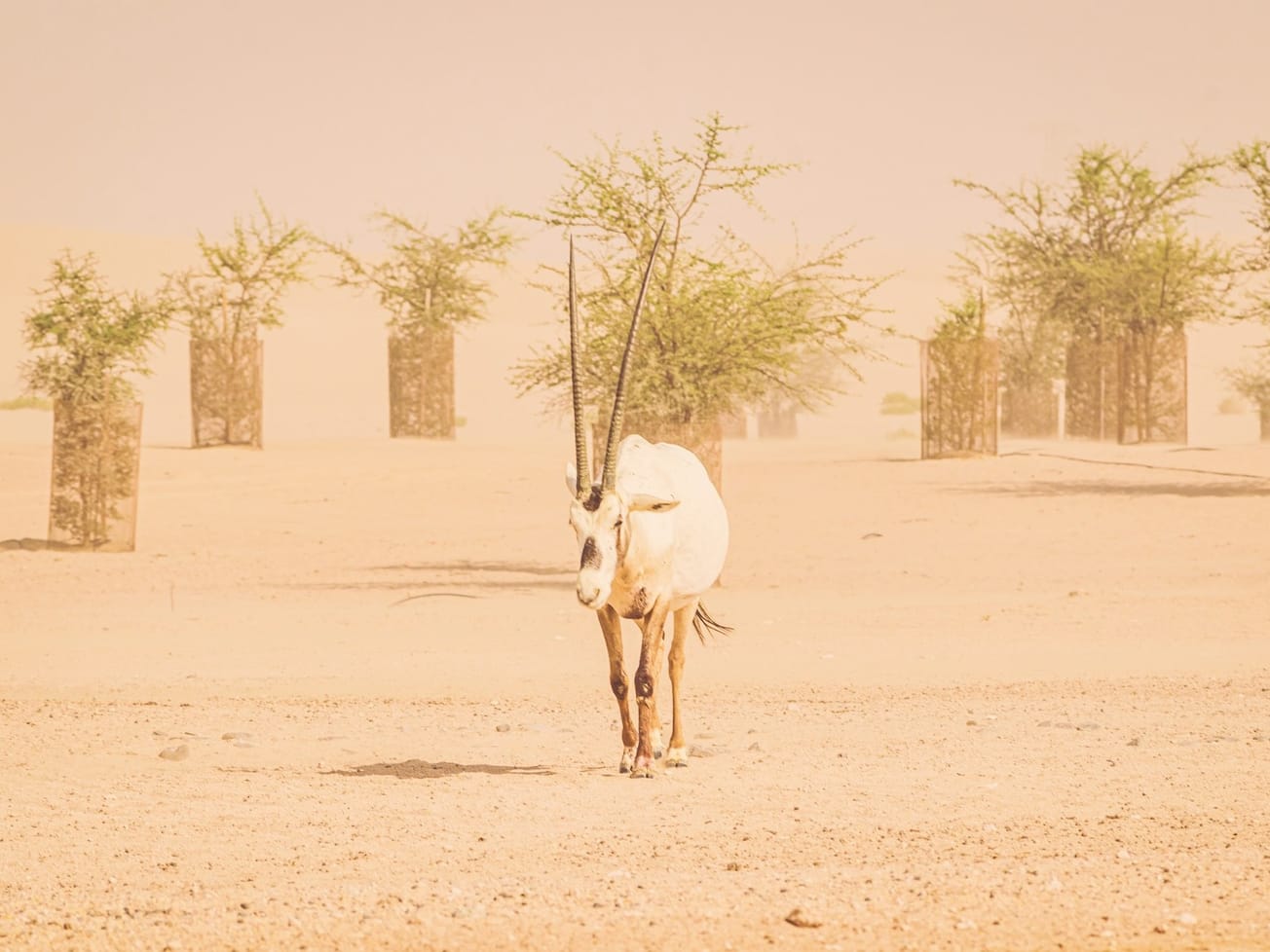 Asia hit hard by climate change, drought, and rising temperatures