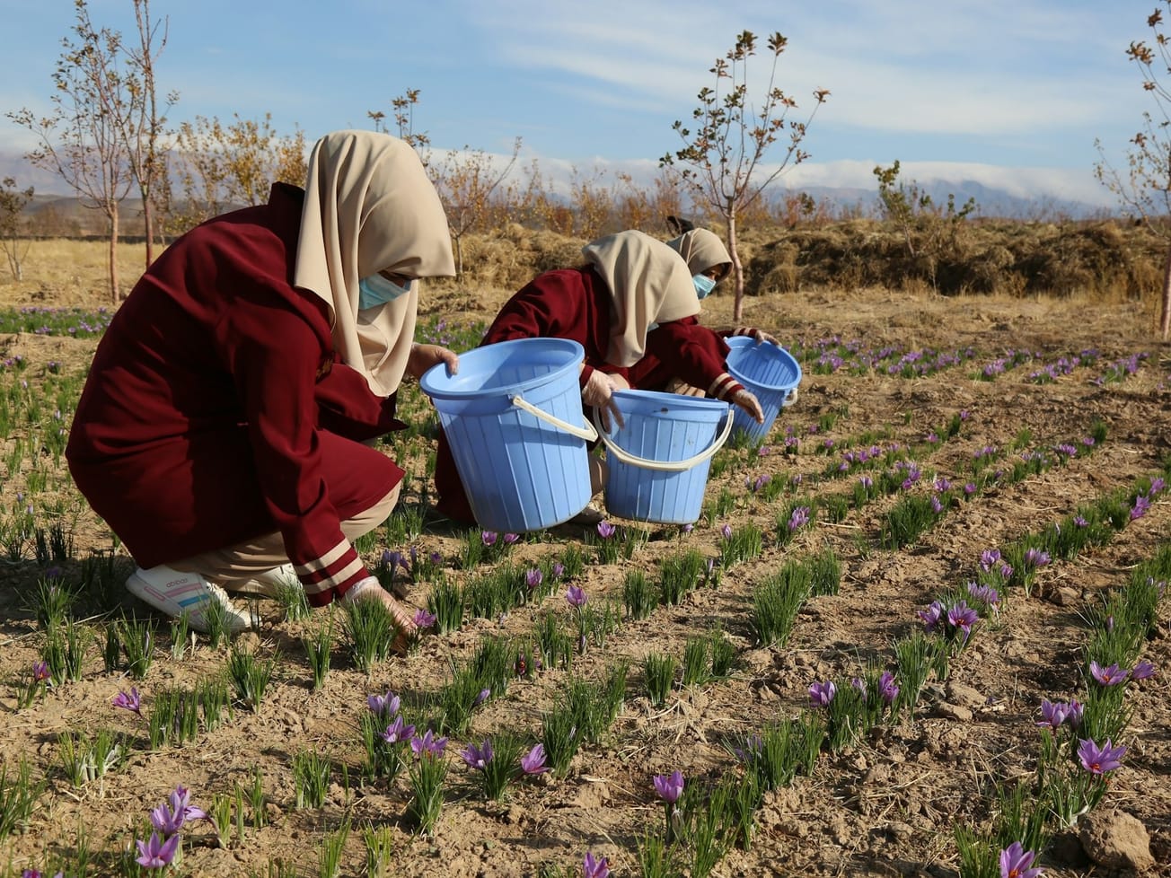 Humanitarian officials anticipate a hunger crisis in Afghanistan as winter sets in. 
