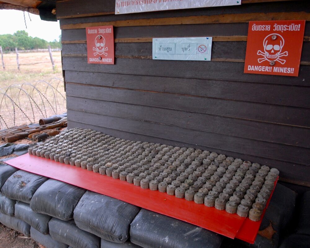 Groups cite high number of land mine casualties