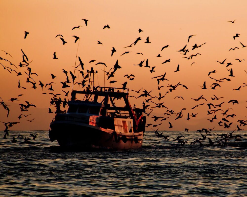 WTO subsidy talks to curb overfishing drag on
